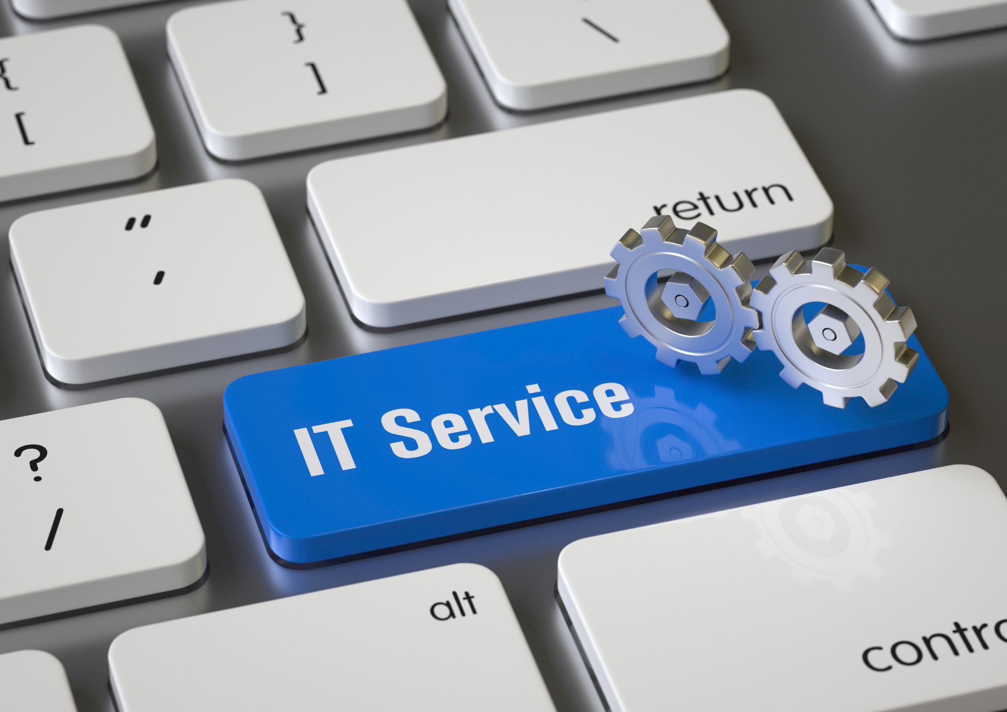 IT Service